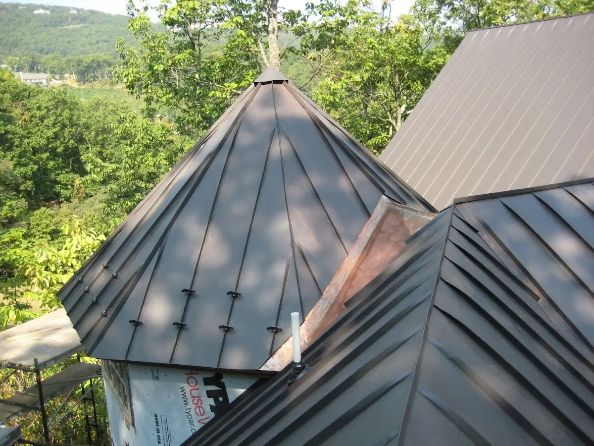 Professional Gutter Cleaning by Craftsman Roofing in Novato